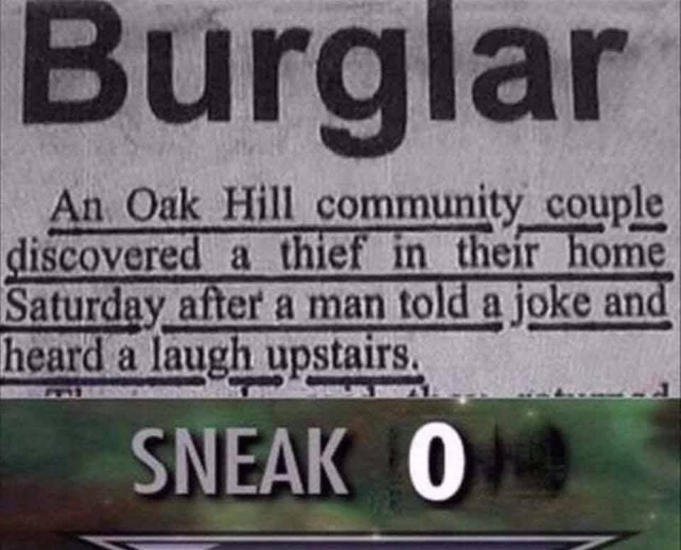 20 Memes That Feel Like a Crime Against Common Sense 5 Burglar sneak 0