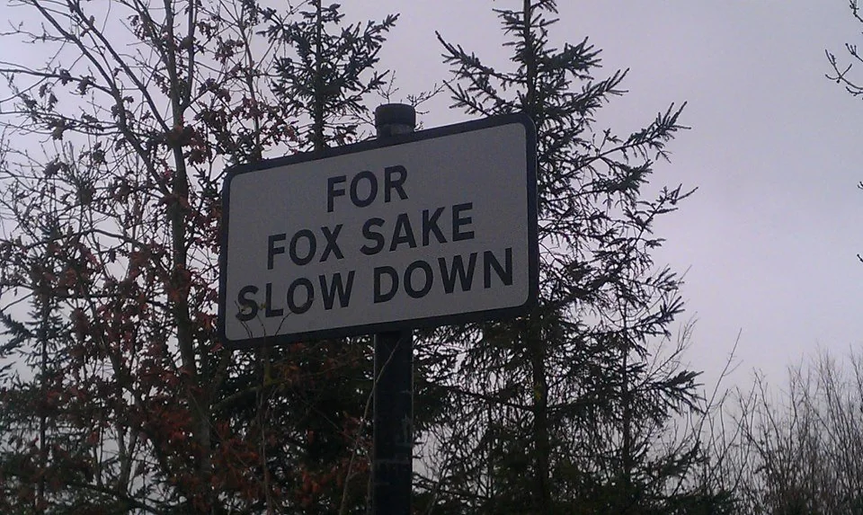 20 British Signs That Feel Aggressively Polite 6 Clever wildlife warning sign seen in the UK