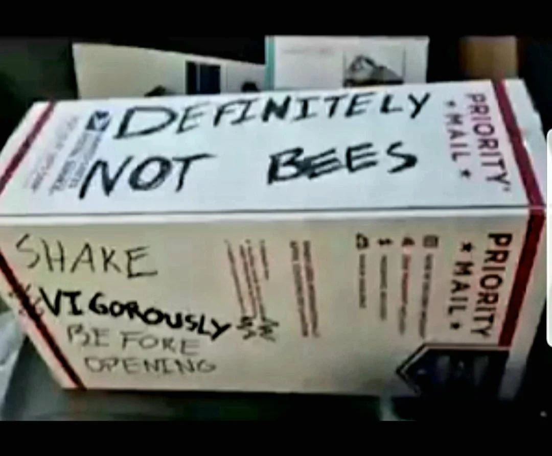 20 Funny Images That Made People Stop and Go “Hmmmmm” 8 Definately not bees