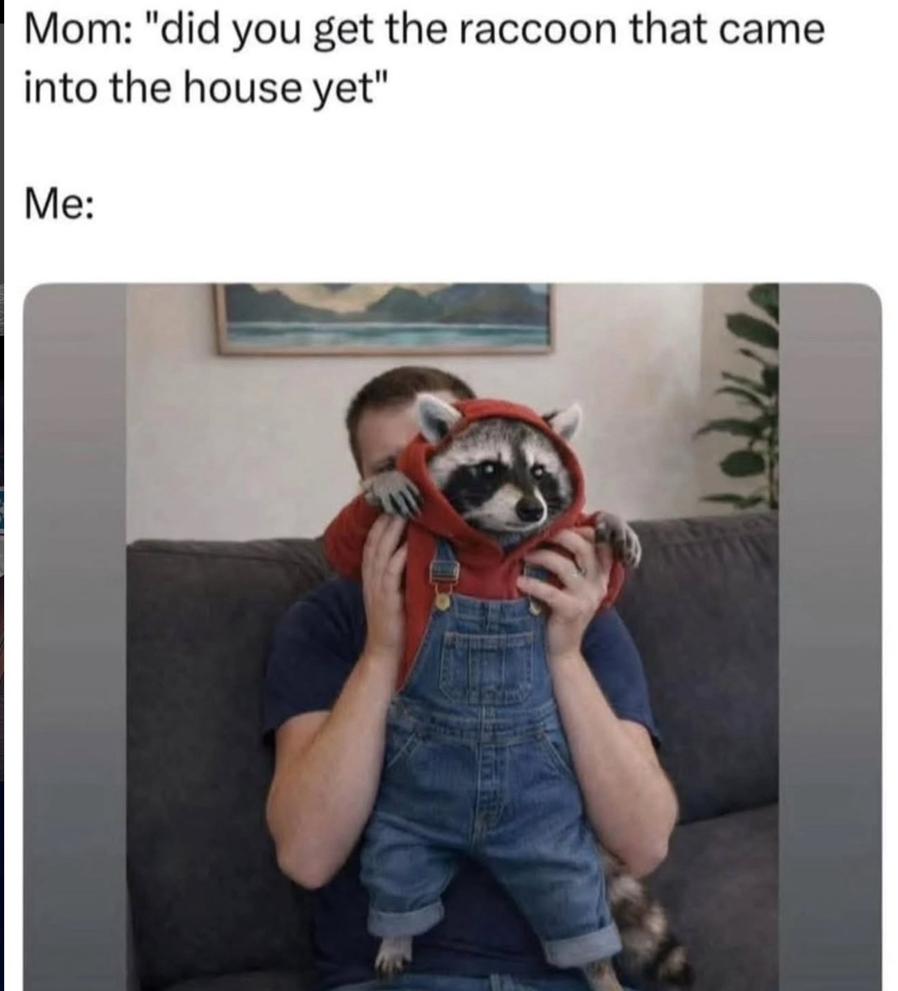 20 Women Memes That Feel Like Hormones Driving a Go-Kart 3 Did you get the racoon