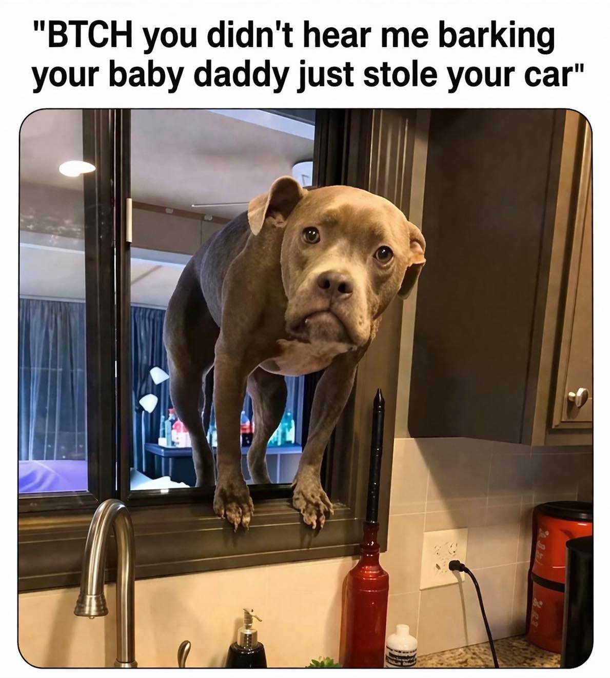20 Memes That Slammed Randomness Into a Blender 5 Didnt hear me barkin