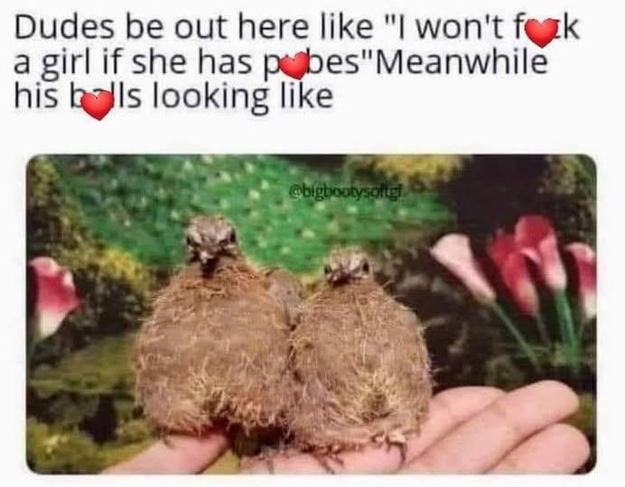 20 Memes That Sound Better in Your Head Than Out Loud 3 Dudes be out here