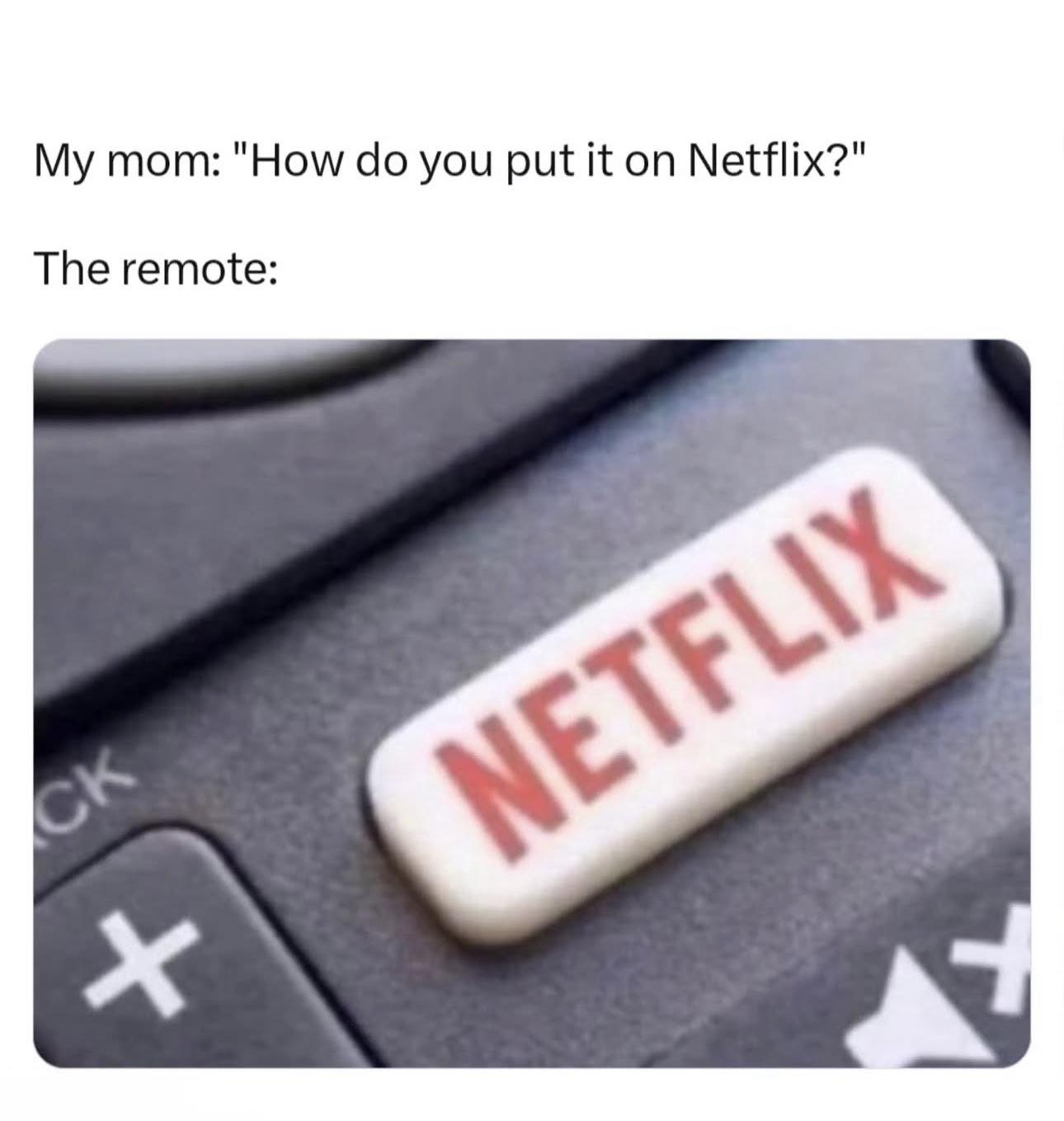 20 Memes That Slammed Randomness Into a Blender 6 How you put it on netflix