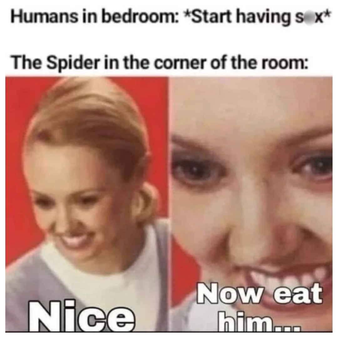 60 Hilarious Memes from an Instagram Laughter Factory 16 Humans in bedroom - Hilarious Memes