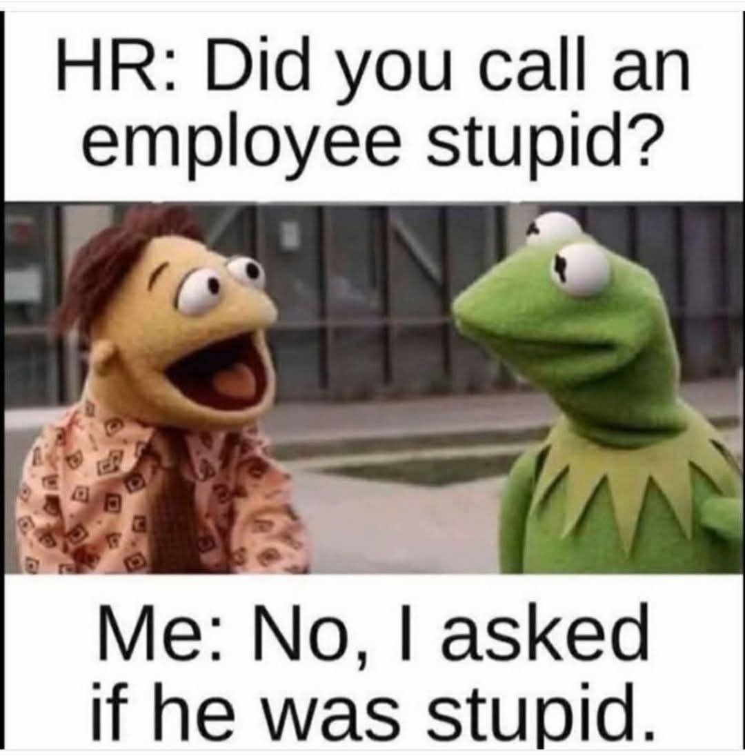20 Office Memes That Laugh While Everything Is on Fire 9 I asked if he was stupid