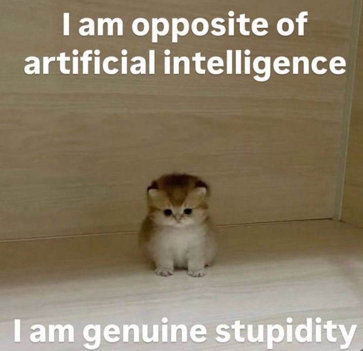 54 Funny Cat Memes That Will Brighten Your Day 55 Iam opposite of ai