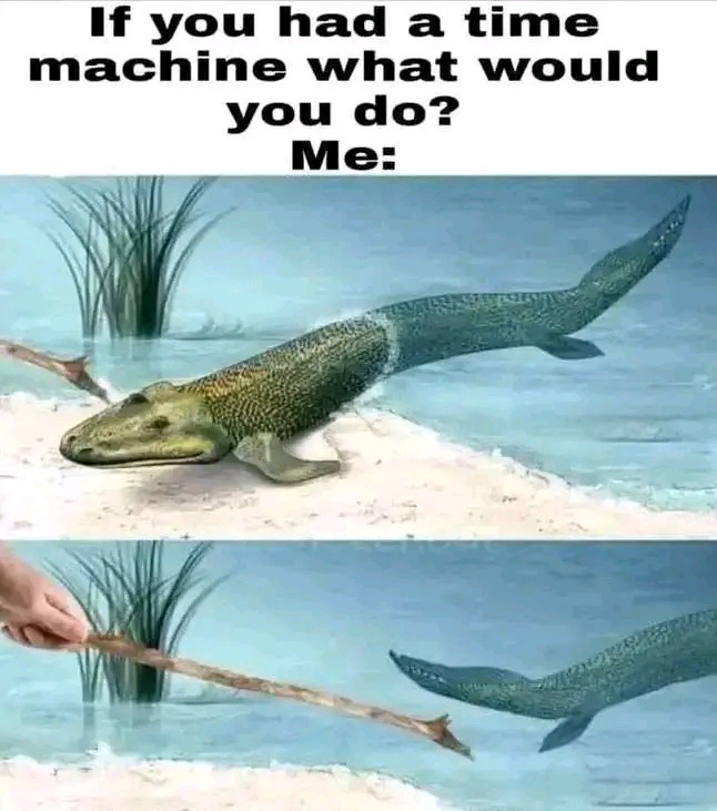 20 Memes That Understand the Chaos Living Inside Your Head 9 If you had a time machine