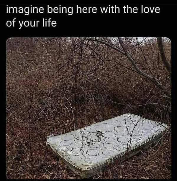 20 Memes That Feel Like Getting Picked Up by a Tornado of Stupidity 10 Imagine being here