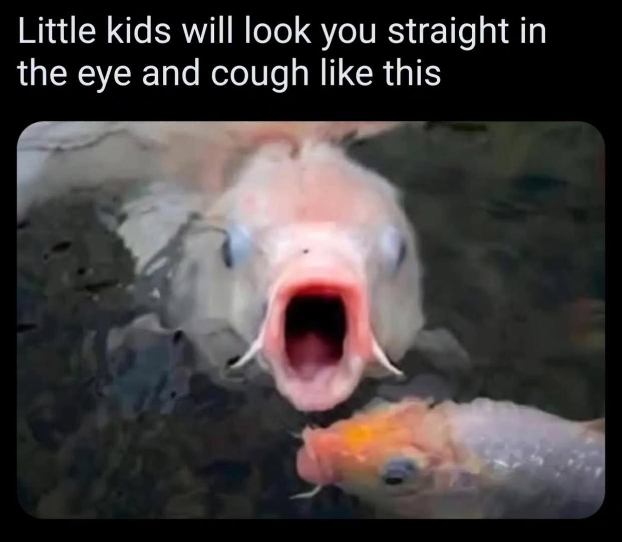 20 Memes That Slammed Randomness Into a Blender 9 Little kids will look