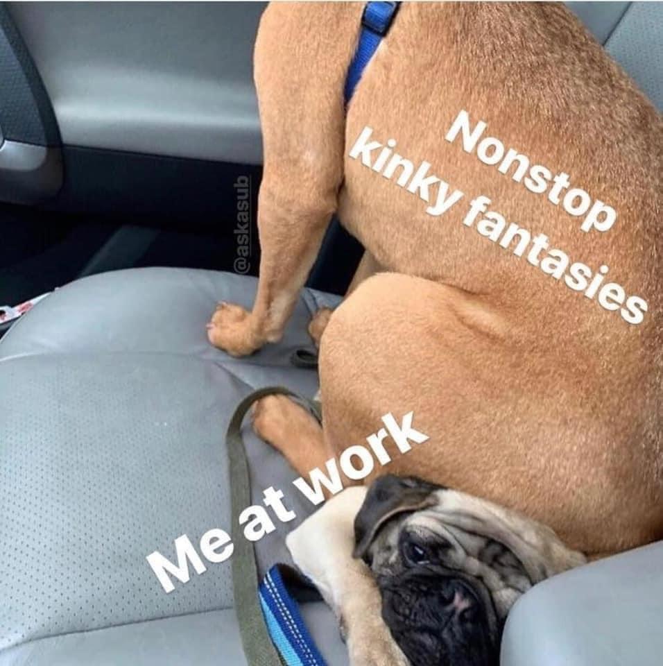35 Wild Memes That Prove the Internet Has No Chill 40 Me at work