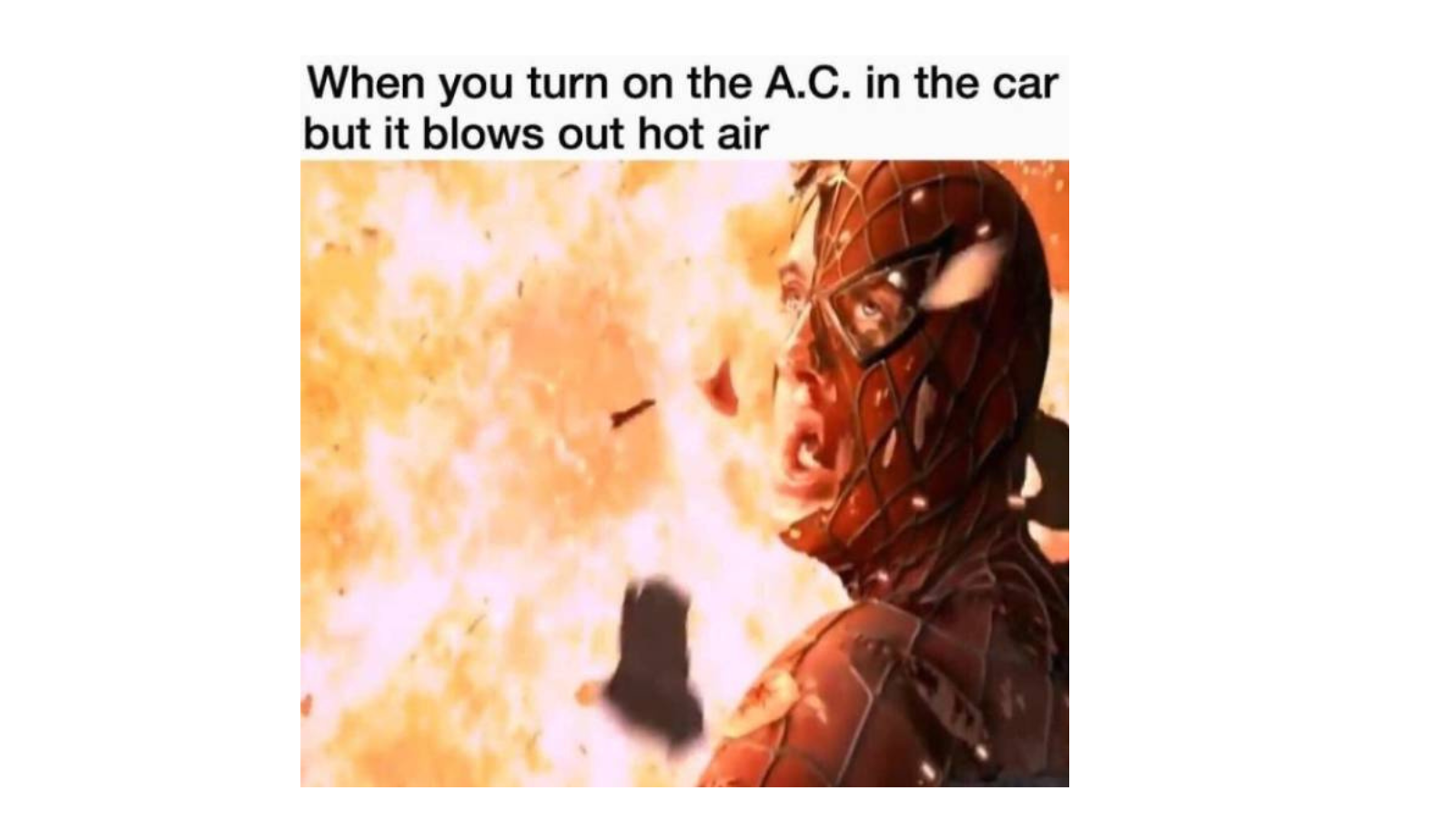 Memes That Feel Like They Were Made After Watching You All Day FG