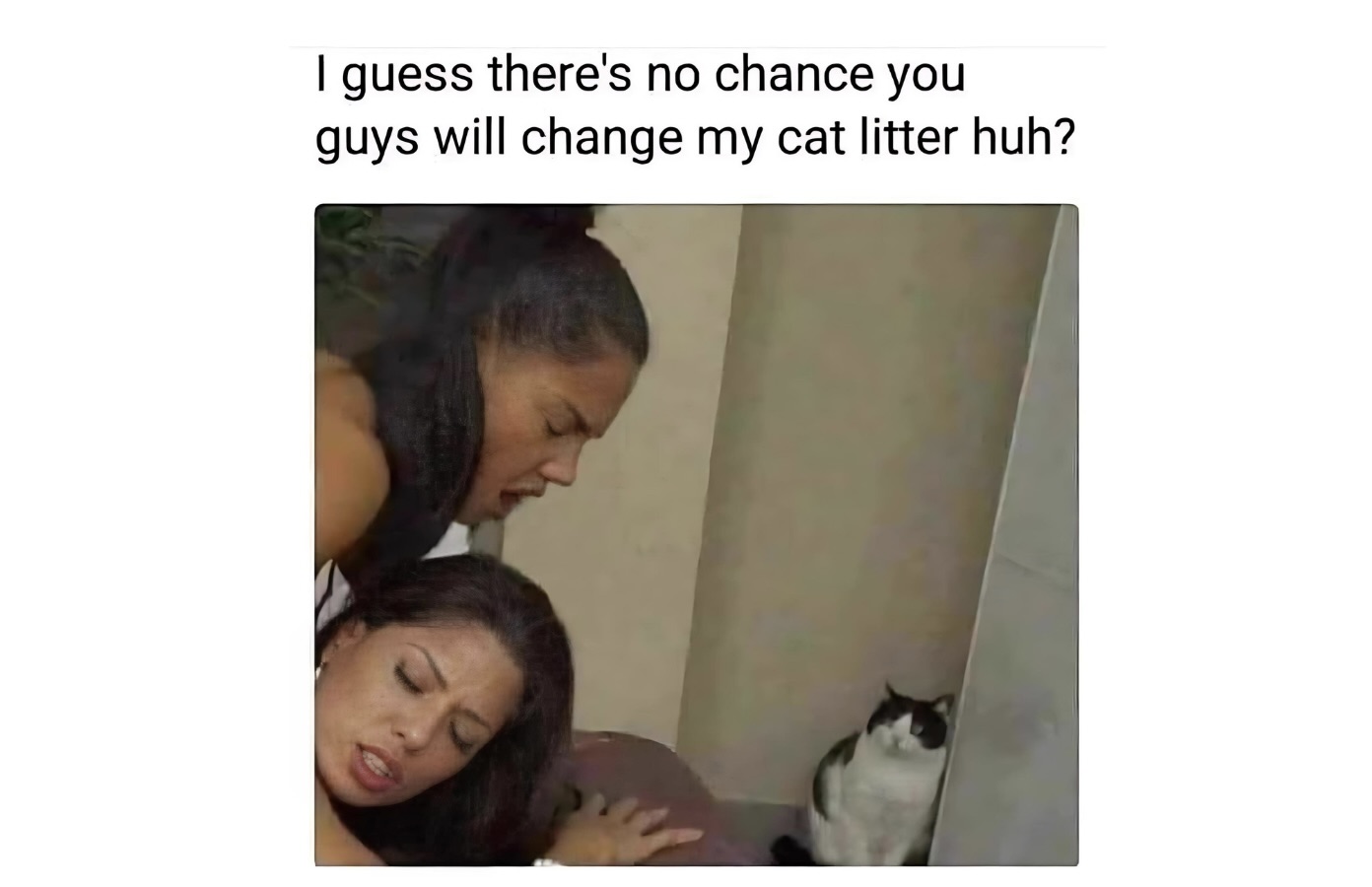 Memes That Sound Better in Your Head Than Out Loud FG