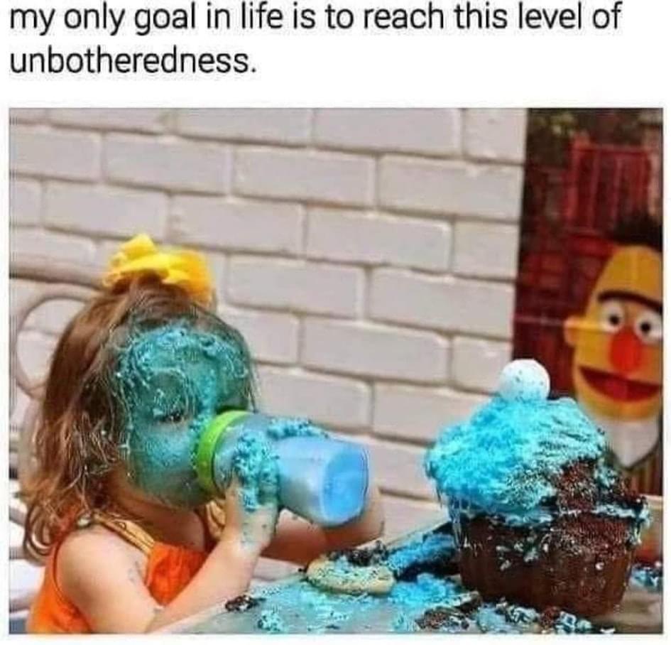 20 Memes That Feel Like Getting Picked Up by a Tornado of Stupidity 15 My only goal in life