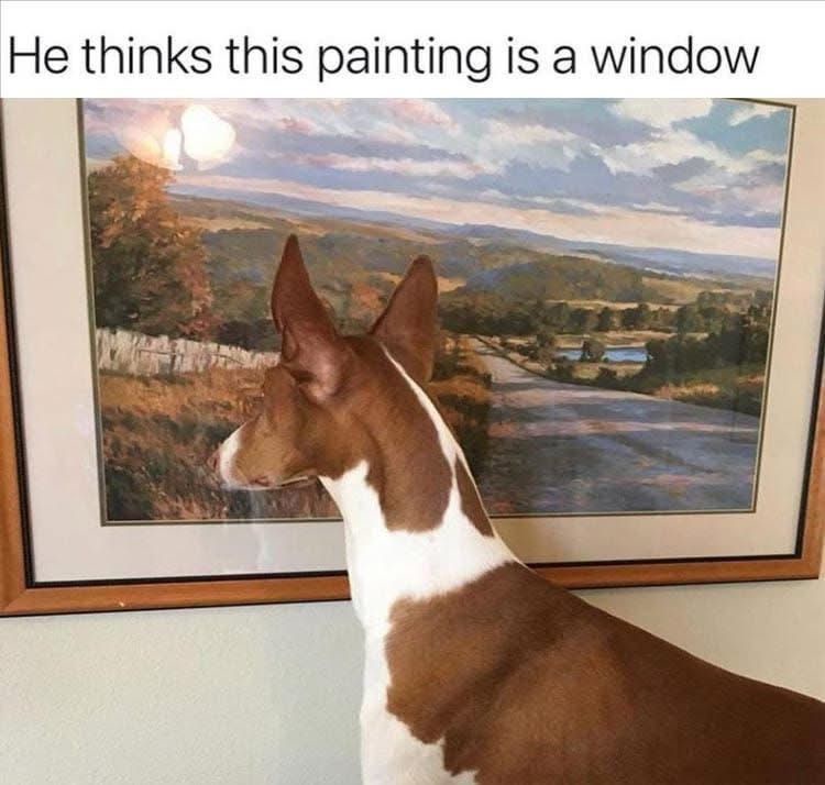20 Memes That Understand the Chaos Living Inside Your Head 15 Painting was a window