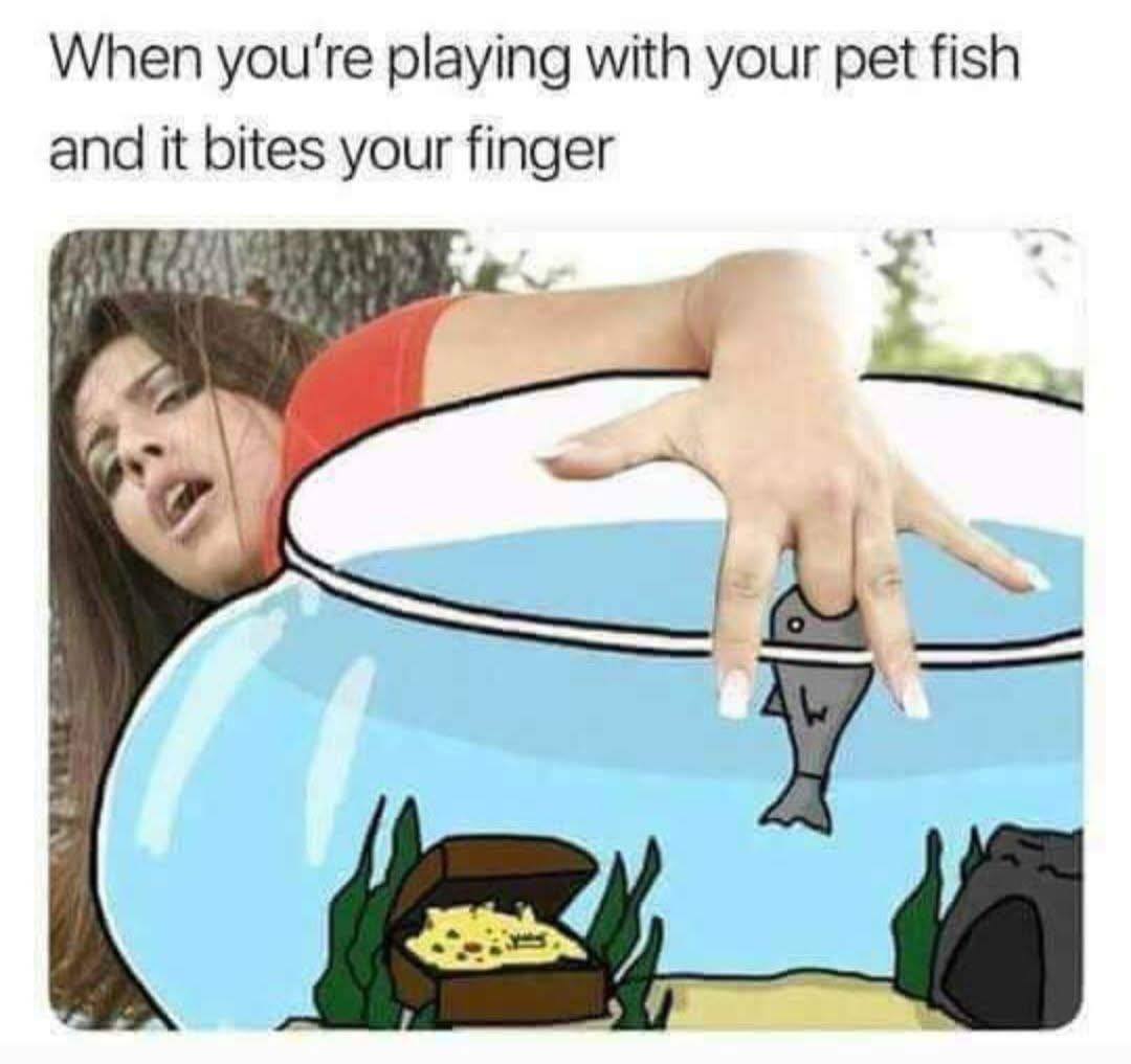20 Memes That’ll Hit Your Dirty Mind and Dark Humor at the Same Time 12 Playing with pet fish