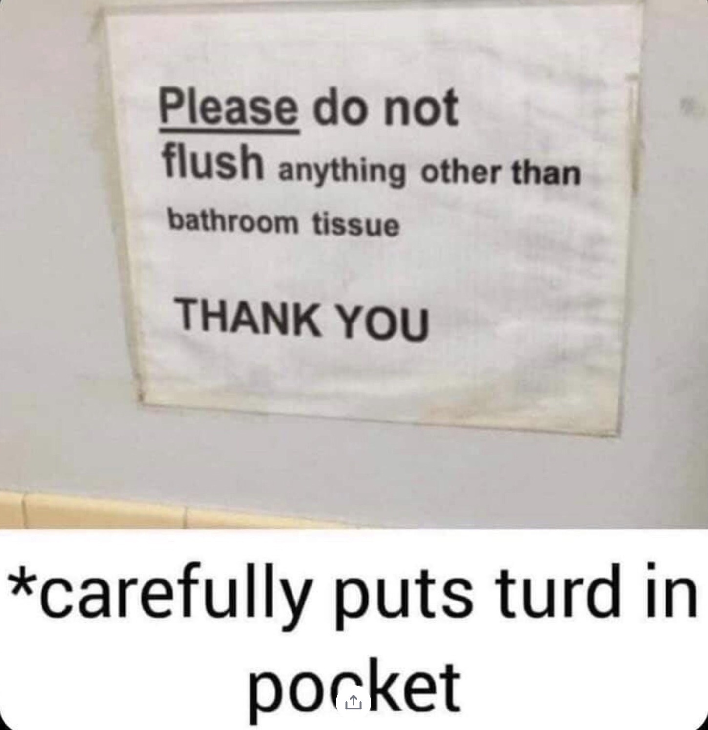 20 Memes That Feel Like Getting Picked Up by a Tornado of Stupidity 16 Please do not flush