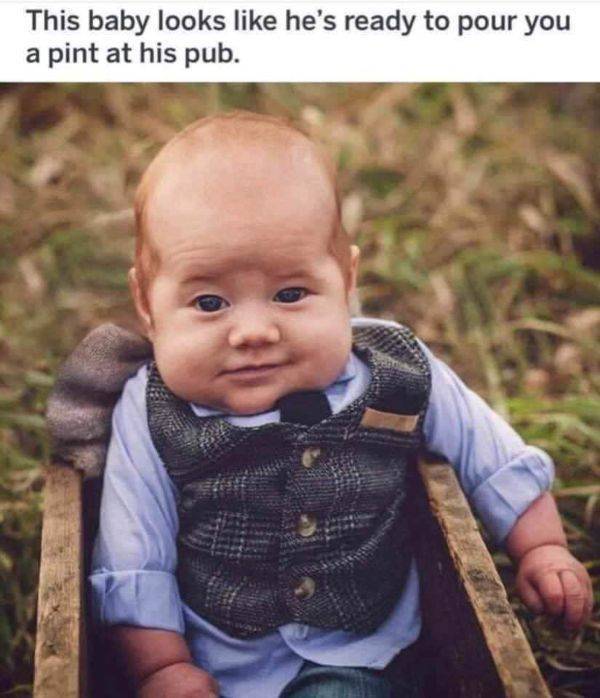 20 Memes That Feel Like They Were Made After Watching You All Day 14 Ready to pur
