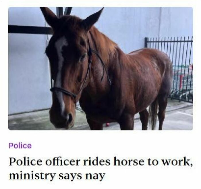20 Local Newspaper Headlines That Sent the Entire Town Into Chaos 19 Rides horse to work