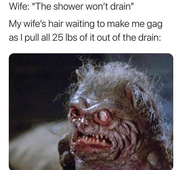 20 Memes That Feel Like Getting Picked Up by a Tornado of Stupidity 17 Shower wont drain