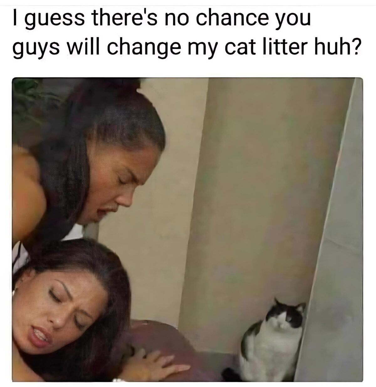 20 Memes That Sound Better in Your Head Than Out Loud 17 Thers no chance