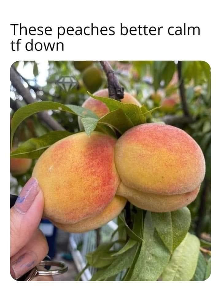 35 Wild Memes That Prove the Internet Has No Chill 42 These peaches