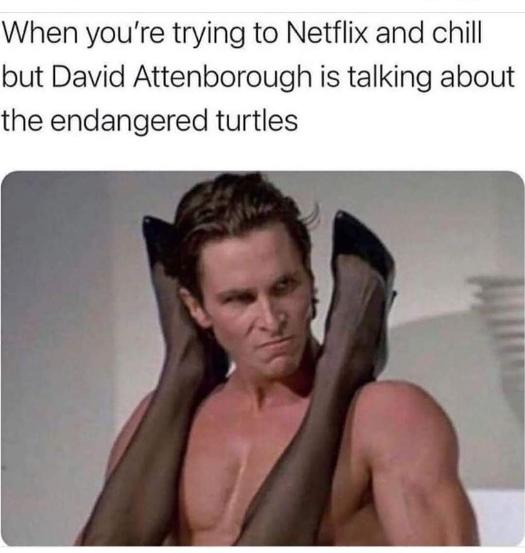 20 Memes That Are One Step Away from Getting Censored 13 Trying to netflix and chill