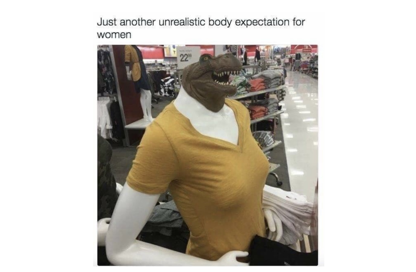 Unrealistic Body Standards Meme That Feel Like A Prank On Humanity FG
