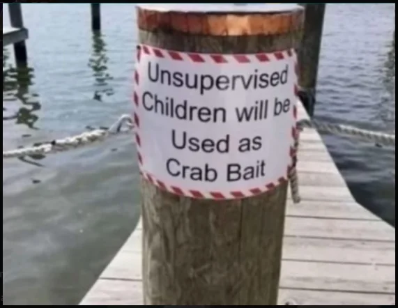 20 Funny Images That Made People Stop and Go “Hmmmmm” 22 Unsupervised children