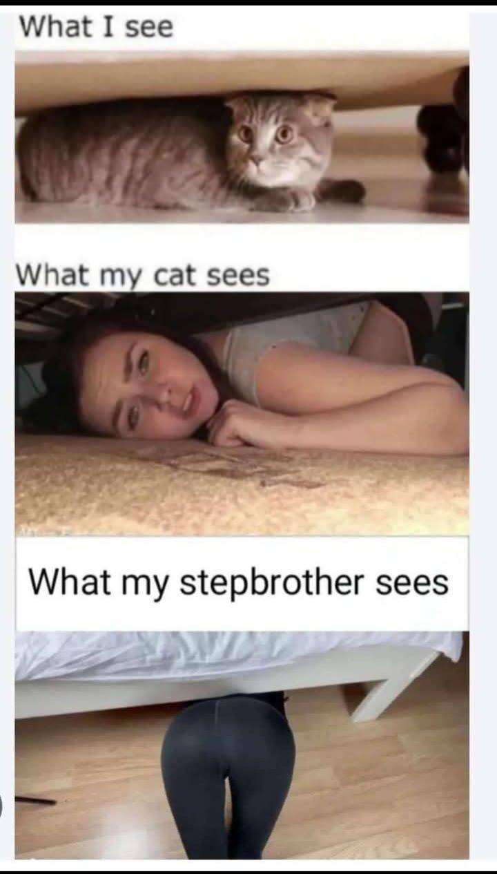 20 Memes That’ll Hit Your Dirty Mind and Dark Humor at the Same Time 17 WHat I see