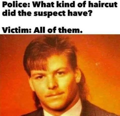 20 Memes That Feel Like a Crime Against Common Sense 14 WHat kind of haircut