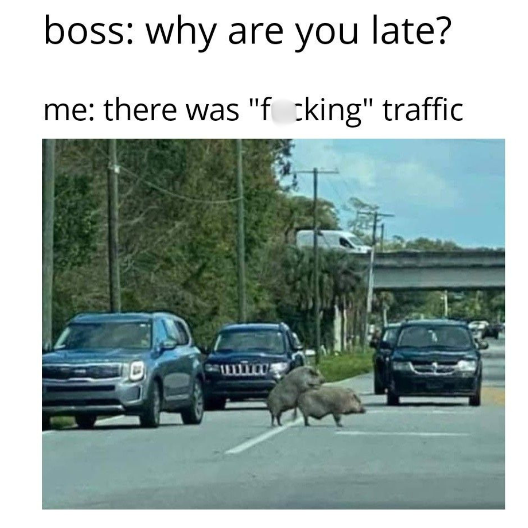 20 Memes That Are Naughty, Dark, and Probably Your Exact Sense of Humor 21 WHy are you late
