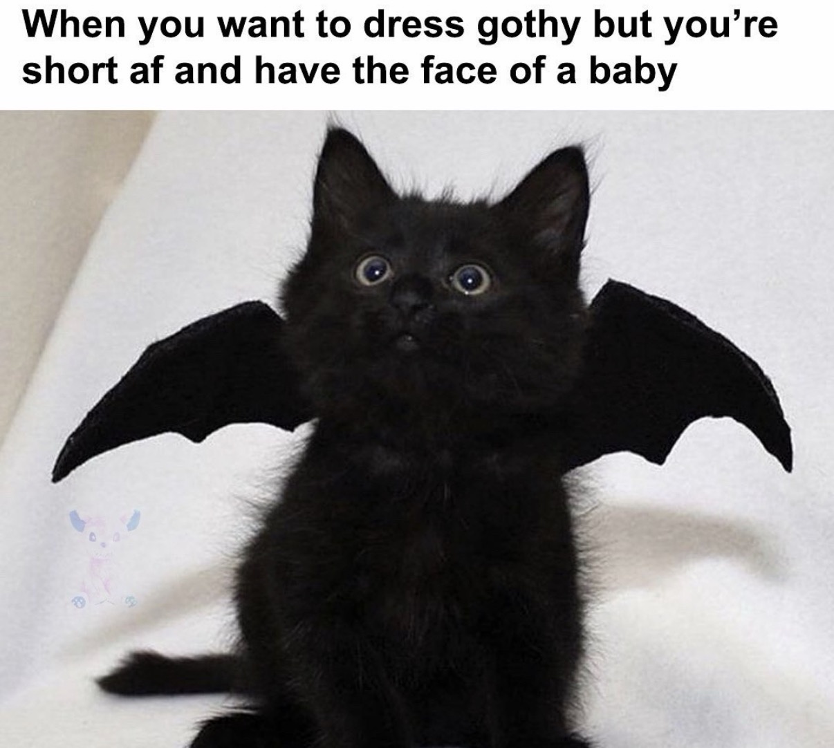 20 Women Memes That Feel Like Hormones Driving a Go-Kart 19 Want to dress gothy