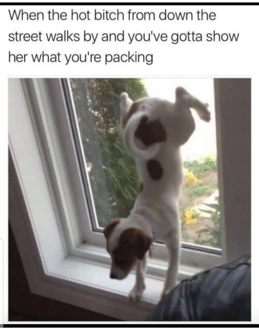 20 Memes That Feel Like a Crime Against Common Sense 15 What youre packing