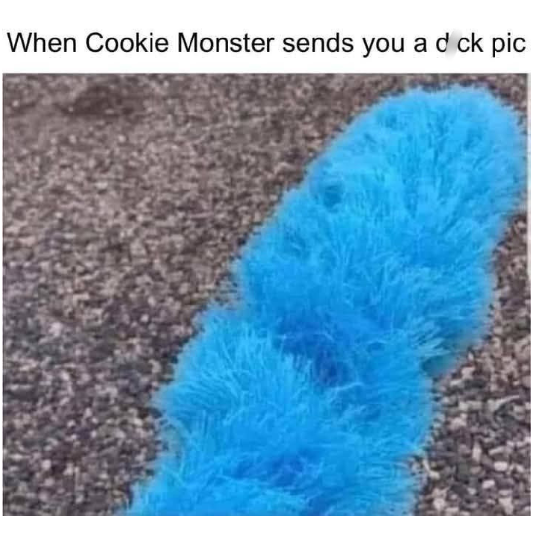 20 Memes That Are One Step Away from Getting Censored 16 When cookie monster sends you pic