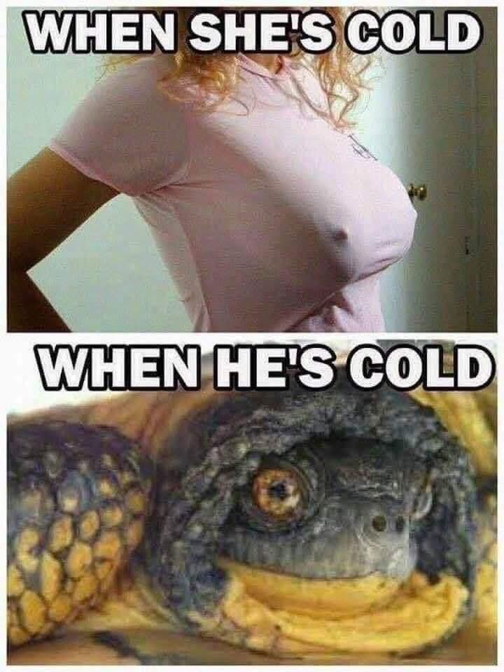20 Memes That’ll Hit Your Dirty Mind and Dark Humor at the Same Time 18 When she cold
