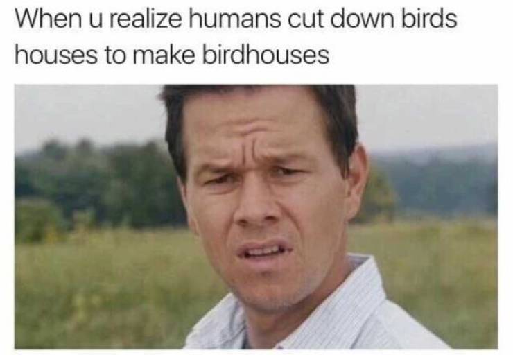 20 Memes That Feel Like They Were Made After Watching You All Day 20 When you realise