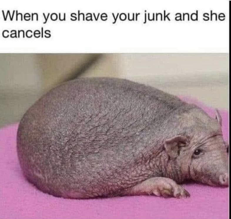 20 Memes That Are One Thought Away From Being Cancelled 21 When you shave