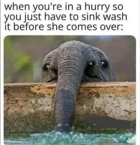 20 Filthy Memes That’ll Make Your Ancestors Disappointed in You 21 When youre in a hurry