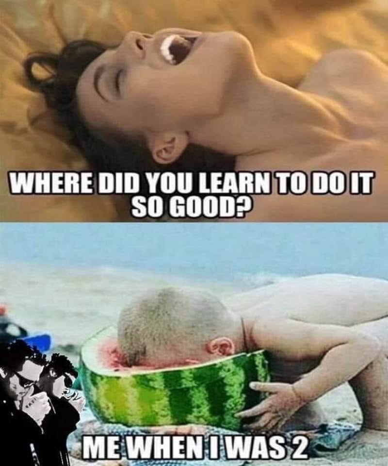 25 Filthy Memes That’ll Make Your Ancestors Disappointed in You 27 Where did you learn Where did you learn