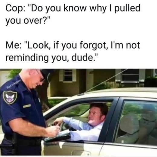 20 Memes That Feel Like a Crime Against Common Sense 20 Why I pulled you over