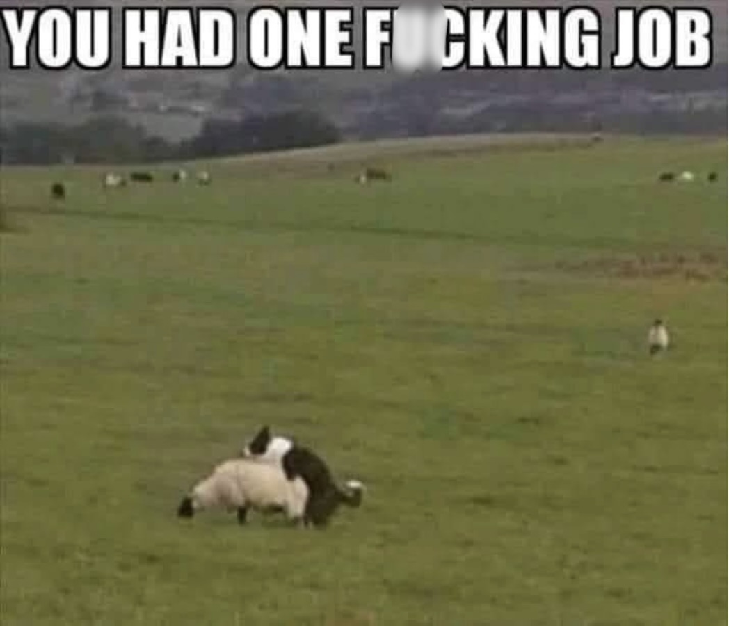 20 Memes That Are One Step Away from Getting Censored 20 You had one job
