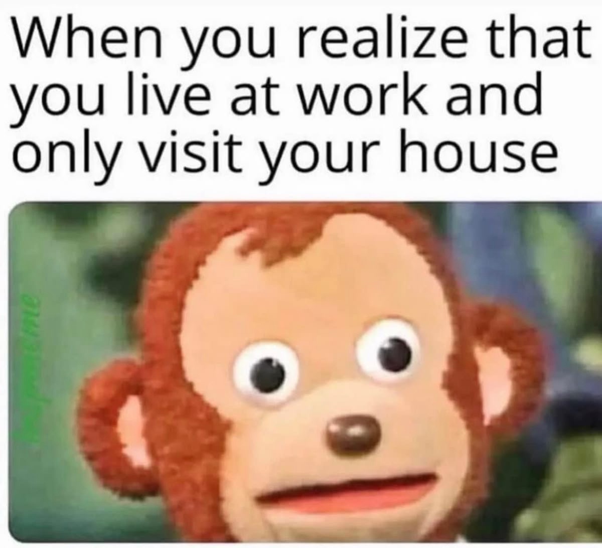 20 Office Memes That Laugh While Everything Is on Fire 21 You live at work