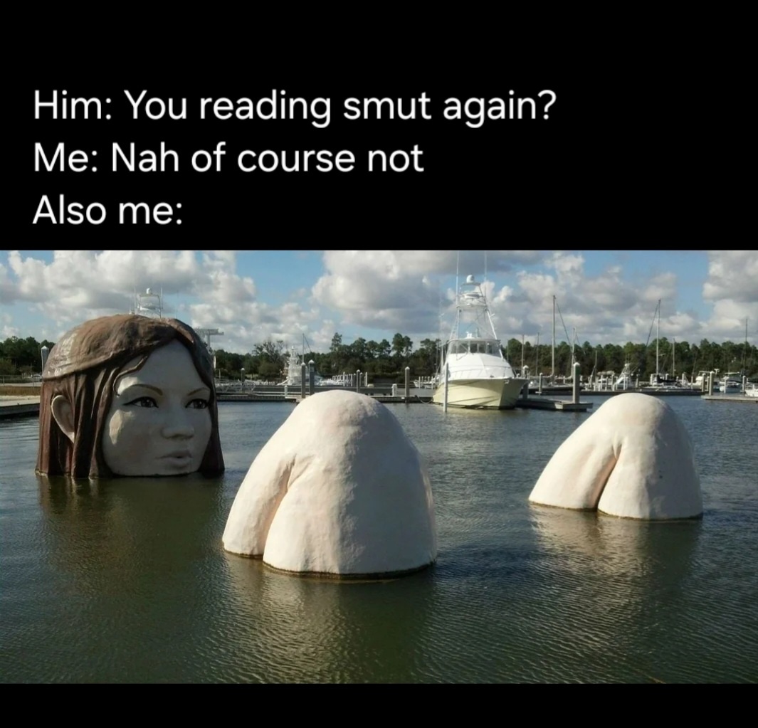 20 Memes That Escaped Containment and Started Biting People 20 You reading smut again