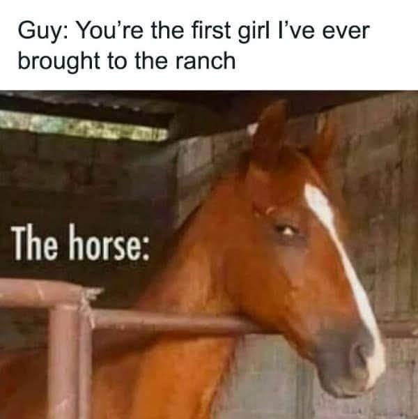 20 Memes That Feel Like a Crime Against Common Sense 22 Youre the first girl