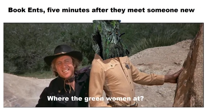 45 LOTR Memes That Will Make You Giggle Like Gollum with the Precious 43 book ents