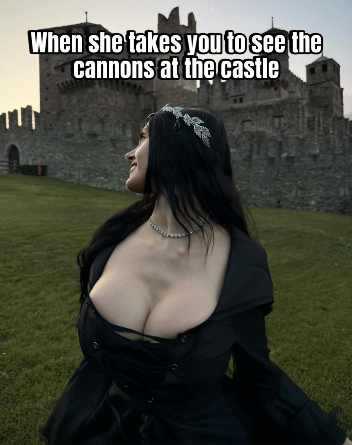 cannons at castle