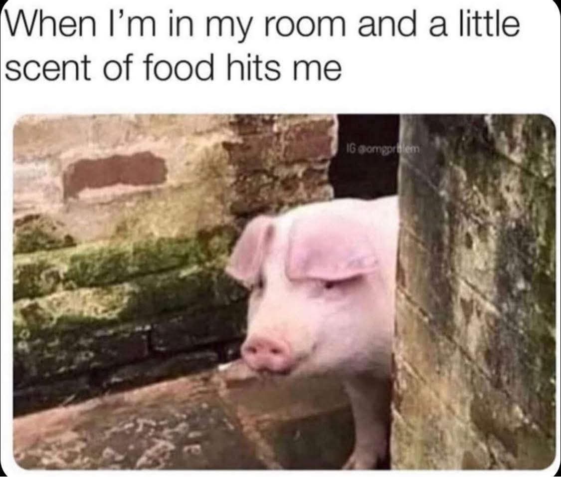 20 Memes That Feel Like Getting Picked Up by a Tornado of Stupidity 3 cent of food hits me