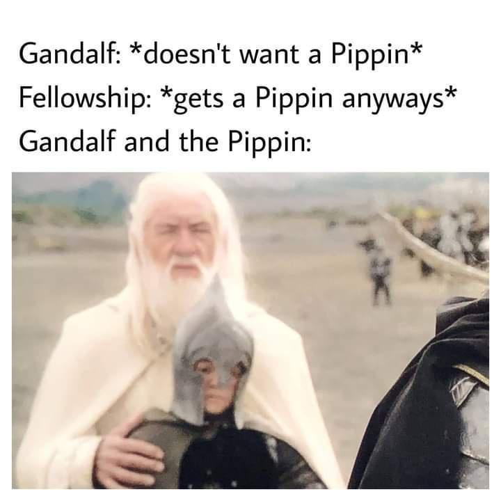45 LOTR Memes That Will Make You Giggle Like Gollum with the Precious 44 doent want pipin
