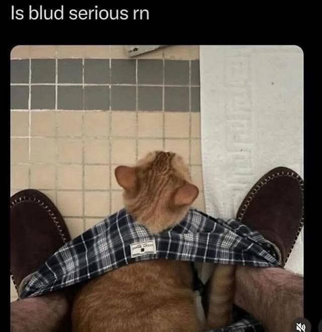 is blud serious