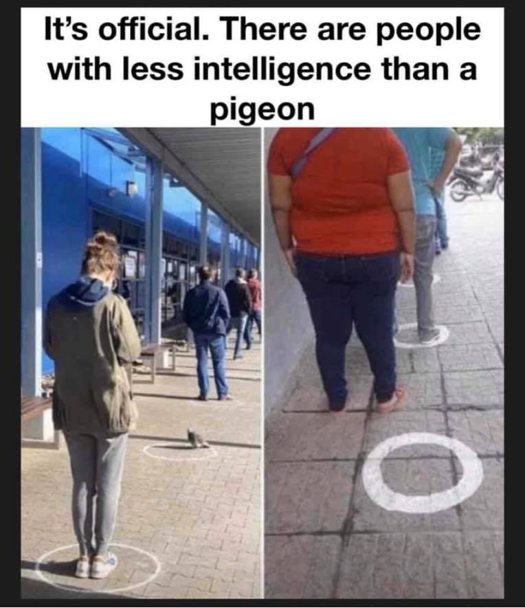 20 Memes That Feel Like a Crime Against Common Sense 7 its official